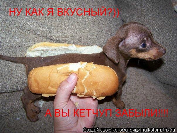НУ КАК Я ВКУСНЫЙ?)) А ВЫ КЕТЧУП ЗАБЫЛИ!!!!... Котоматрица: НУ КАК Я ВКУСНЫЙ?)) А ВЫ КЕТЧУП ЗАБЫЛИ!!!!