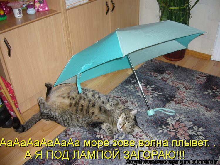 Котоматрица: А Я ПОД ЛАМПОЙ ЗАГОРАЮ!!! АаАаАаАаАаАа море зове,волна плывет. . .