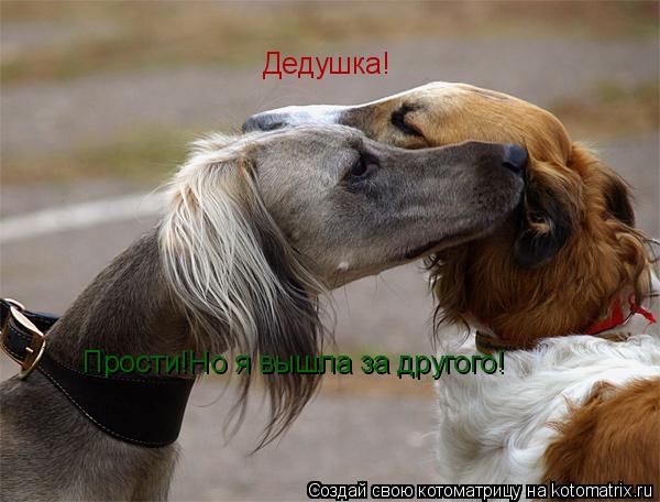 Прости!Но я вышла за другого! Дедушка!... Котоматрица: Прости!Но я вышла за другого! Дедушка!