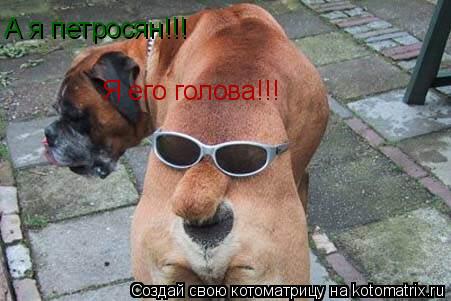 Я его голова!!! А я петросян!!!... Котоматрица: Я его голова!!! А я петросян!!!