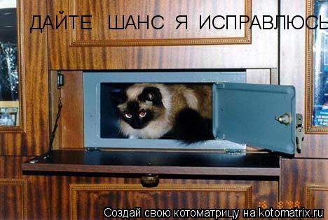 ДАЙТЕ ШАНС Я ИСПРАВЛЮСЬ... Котоматрица: ДАЙТЕ ШАНС Я ИСПРАВЛЮСЬ