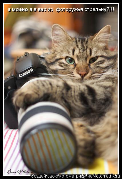 а можно я в вас из фоторужья стрельну?!!!... Котоматрица: а можно я в вас из фоторужья стрельну?!!!