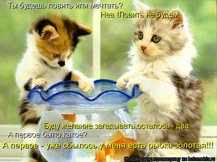 Котоматрица: Ты будешь ловить или мечтать? Неа !Ловить не будем. Буду желание загадывать,осталось - два. А первое было,какое? А первое - уже сбылось,у меня е