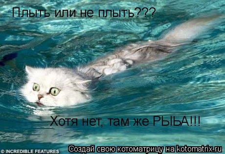 Плыть или не плыть??? Хотя нет, там же РЫЬА!!!... Котоматрица: Плыть или не плыть??? Хотя нет, там же РЫЬА!!!