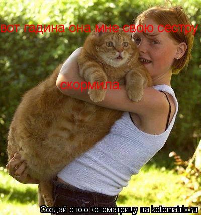 вот гадина она мне свою сестру скормила.... Котоматрица: вот гадина она мне свою сестру скормила.