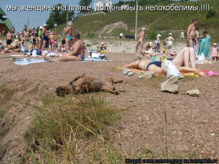 мы ,женщины на пляже, должны быть непокобелимы,!!!!... Котоматрица: мы ,женщины на пляже, должны быть непокобелимы,!!!!