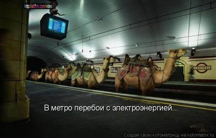 В метро перебои с электроэнергией...... Котоматрица: В метро перебои с электроэнергией...