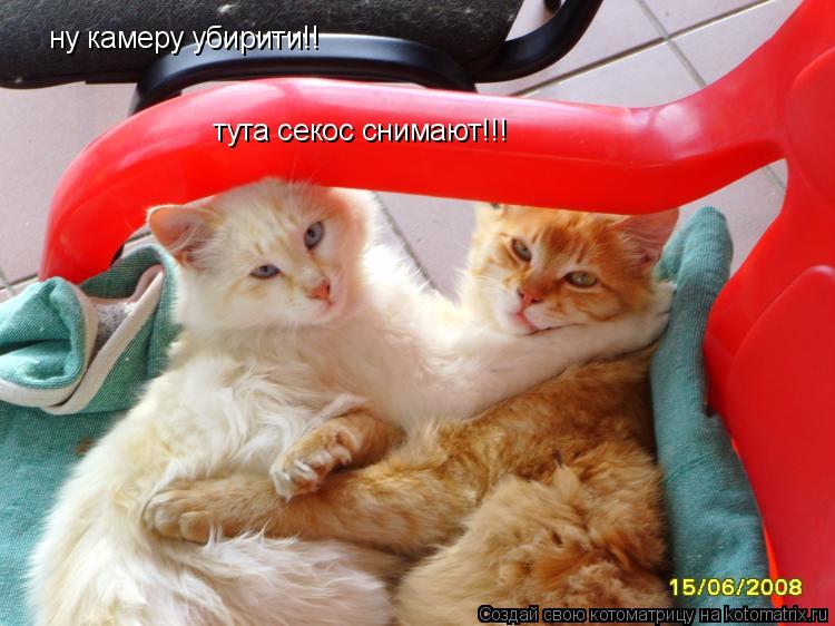 ну камеру убирити!! тута секос снимают!!!... Котоматрица: ну камеру убирити!! тута секос снимают!!!