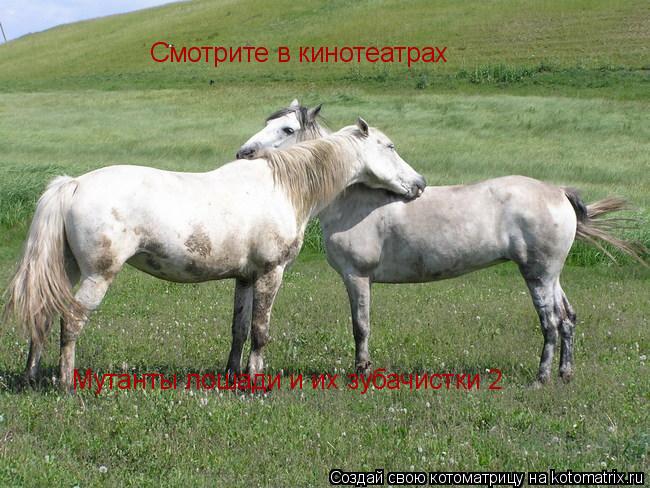 Смотрите в кинотеатрах Мутанты лошади и их зубачистки 2... Котоматрица: Смотрите в кинотеатрах Мутанты лошади и их зубачистки 2