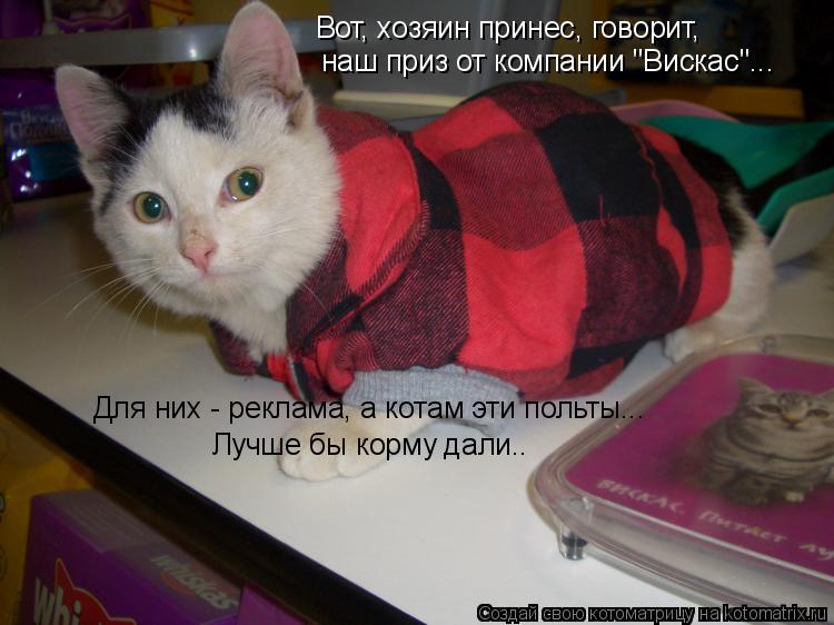 Котоматрица: Вот, хозяин принес, говорит,  наш приз от компании "Вискас"... Для них - реклама, а котам и Для них - реклама, а котам эти польты... Лучше бы корму д