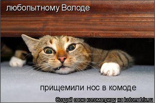 любопытному Володе прищемили нос в комоде... Котоматрица: любопытному Володе прищемили нос в комоде