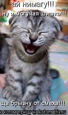 ай нимагу!!! ну и могучая шишка!!! ща брызну от смеха!!!... Котоматрица: ай нимагу!!! ну и могучая шишка!!! ща брызну от смеха!!!