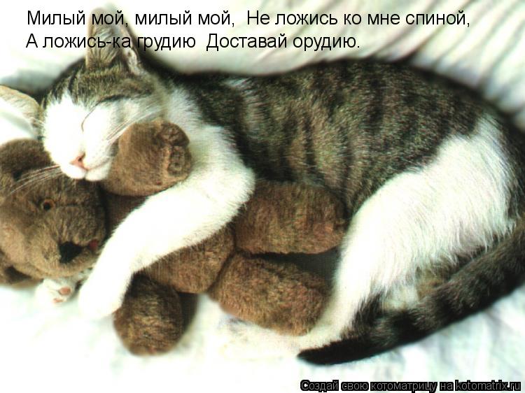 Милый мой, милый мой, Не ложись ко мне спиной, А ложись-ка грудию Доставай орудию.... Котоматрица: Милый мой, милый мой, Не ложись ко мне спиной, А ложись-ка грудию Доставай орудию.