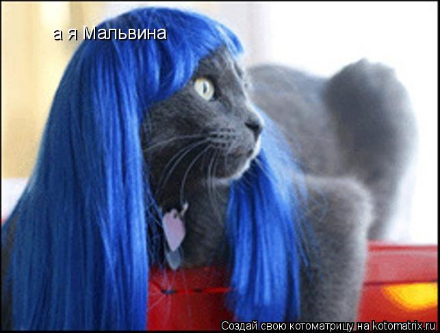 Котоматрица: а я Мальвина