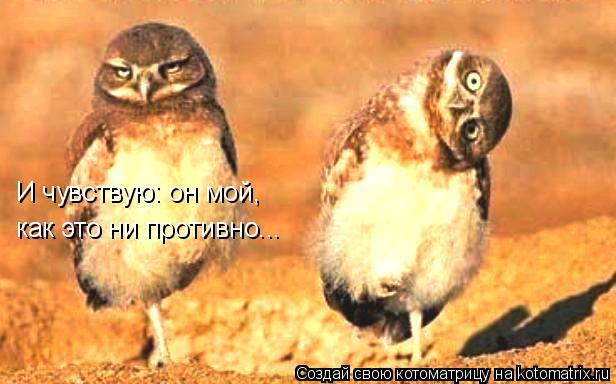 И чувствую: он мой, как это ни противно...... Котоматрица: И чувствую: он мой, как это ни противно...