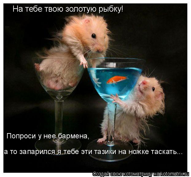 На тебе твою золотую рыбку! Попроси у нее бармена, а то запарился я тебе эти тазики на ножке таскать.... Котоматрица: На тебе твою золотую рыбку! Попроси у нее бармена, а то запарился я тебе эти тазики на ножке таскать...