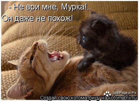 - Не ври мне, Мурка!.. Он даже не похож!... Котоматрица: - Не ври мне, Мурка!.. Он даже не похож!
