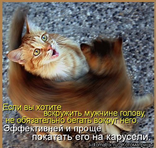 Если вы хотите вскружить мужчине голову, не обязательно бегать вокруг него. Эффективней и проще пока... Котоматрица: Если вы хотите вскружить мужчине голову, не обязательно бегать вокруг него. Эффективней и проще покатать его на карусели.