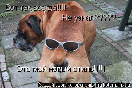 Вот так всегда!!!! Не узнал????? Это мой новый стиль!!!!!... Котоматрица: Вот так всегда!!!! Не узнал????? Это мой новый стиль!!!!!