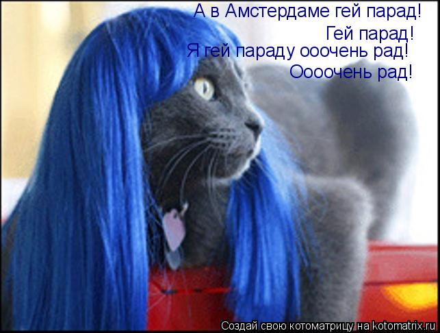 А в Амстердаме гей парадгей парад. Я гей параду очень рад. Ооочень рад. А в Амстердаме гей парад! Гей... Котоматрица: А в Амстердаме гей парадгей парад. Я гей параду очень рад. Ооочень рад. А в Амстердаме гей парад! Гей парад! Я гей параду ооочень рад! Оооочень