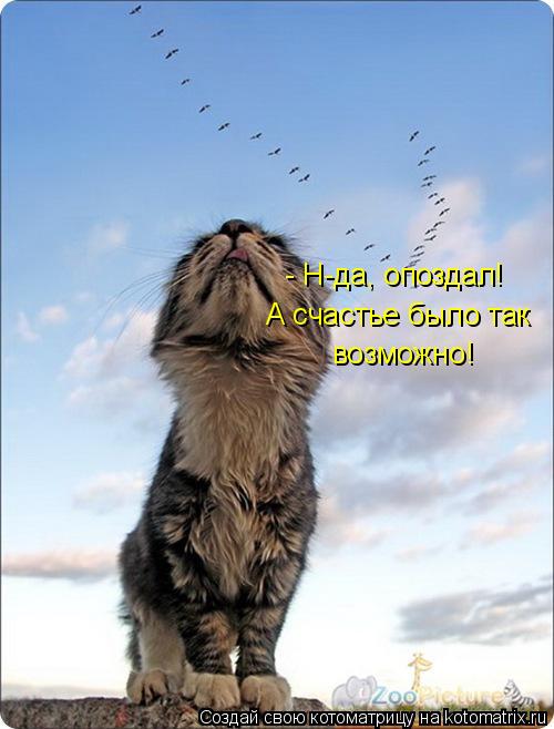- Н-да, опоздал! А счастье было так возможно!... Котоматрица: - Н-да, опоздал! А счастье было так возможно!