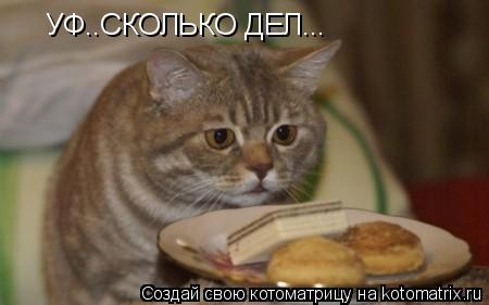 УФ..СКОЛЬКО ДЕЛ...... Котоматрица: УФ..СКОЛЬКО ДЕЛ...