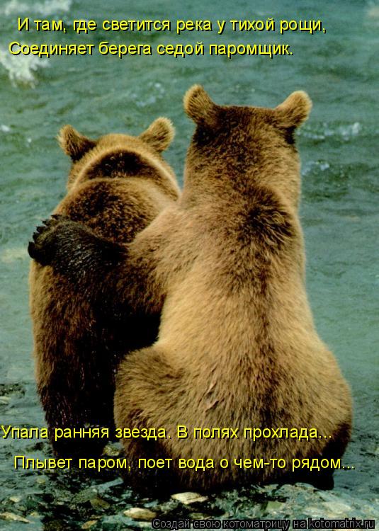 И там, где светится река у тихой рощи, Соединяет берега седой паромщик. Плывет паром, поет вода о ч... Котоматрица: И там, где светится река у тихой рощи, Соединяет берега седой паромщик. Плывет паром, поет вода о чем-то рядом... Упала ранняя звезда. В полях