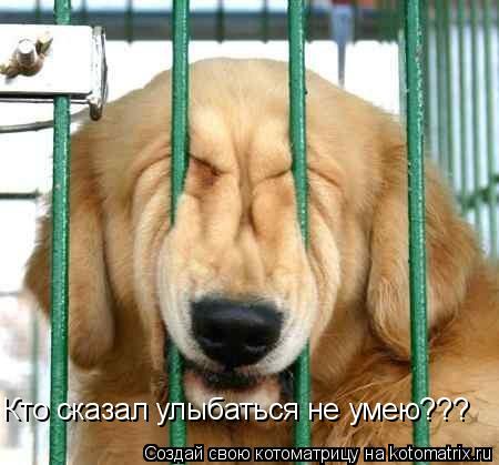Кто сказал улыбаться не умею???... Котоматрица: Кто сказал улыбаться не умею???