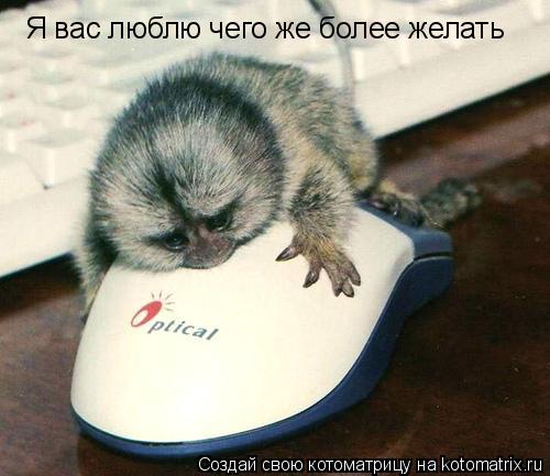 Я вас люблю чего же более желать... Котоматрица: Я вас люблю чего же более желать