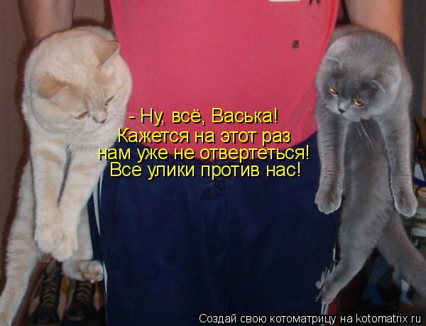 Котоматрица: - Ну, всё, Васька! Кажется на этот раз нам уже не отвертеться! Все улики против нас!
