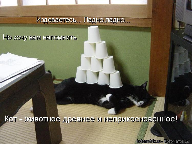 Издеваетесь... Ладно,ладно... Но хочу вам напомнить: Кот - животное древнее и неприкосновенное!... Котоматрица: Издеваетесь... Ладно,ладно... Но хочу вам напомнить: Кот - животное древнее и неприкосновенное!