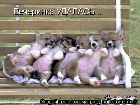 Вечеринка УДАЛАСЬ...... Котоматрица: Вечеринка УДАЛАСЬ...