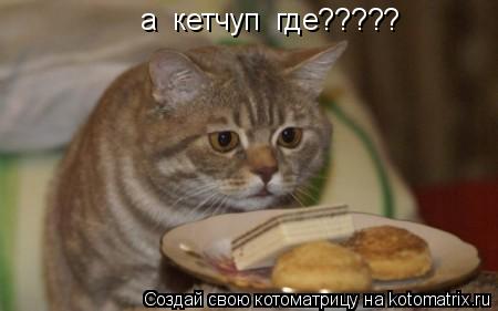 Котоматрица: а  кетчуп  где?????