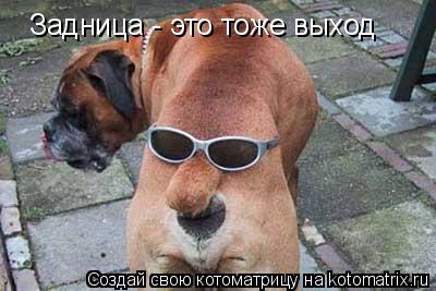 Задница - это тоже выход... Котоматрица: Задница - это тоже выход