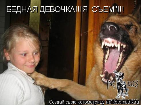 БЕДНАЯ ДЕВОЧКА!!!Я СЪЕМ"!!!... Котоматрица: БЕДНАЯ ДЕВОЧКА!!!Я СЪЕМ"!!!