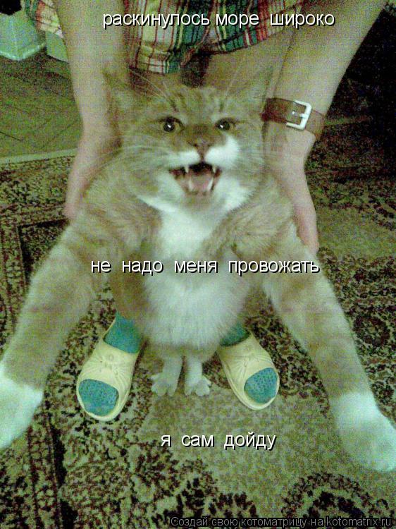 раскинулось море широко не надо меня провожать я сам дойду... Котоматрица: раскинулось море широко не надо меня провожать я сам дойду