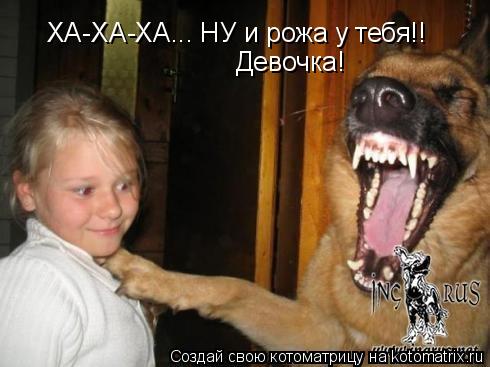 ХА-ХА-ХА... НУ и рожа у тебя!! Девочка!... Котоматрица: ХА-ХА-ХА... НУ и рожа у тебя!! Девочка!