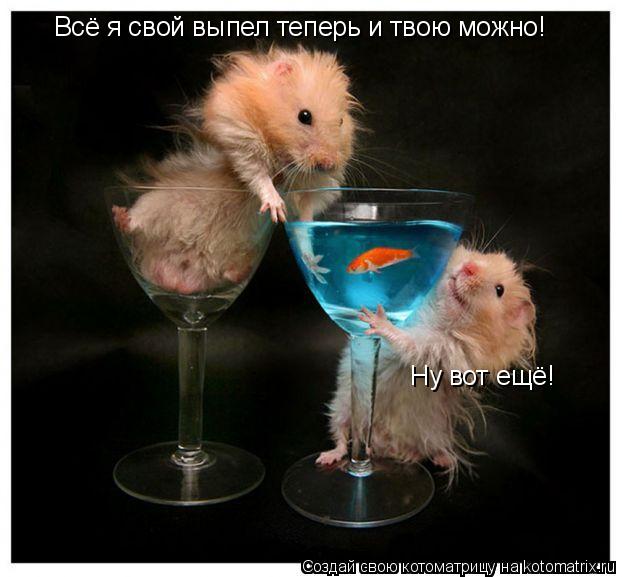 Всё я свой выпел теперь и твою можно! Ну вот ещё!... Котоматрица: Всё я свой выпел теперь и твою можно! Ну вот ещё!