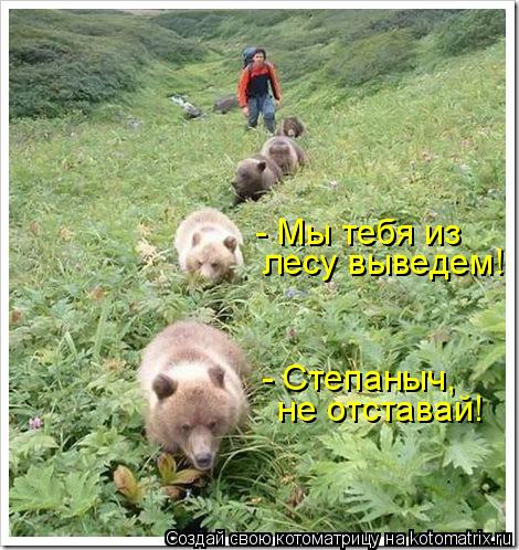 - Степаныч, не отставай! - Мы тебя из лесу выведем!... Котоматрица: - Степаныч, не отставай! - Мы тебя из лесу выведем!