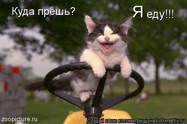 Котоматрица: Куда прёшь?  Я еду!!!