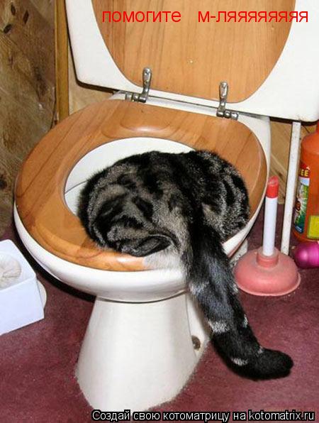 помогите м-ляяяяяяяя... Котоматрица: помогите м-ляяяяяяяя