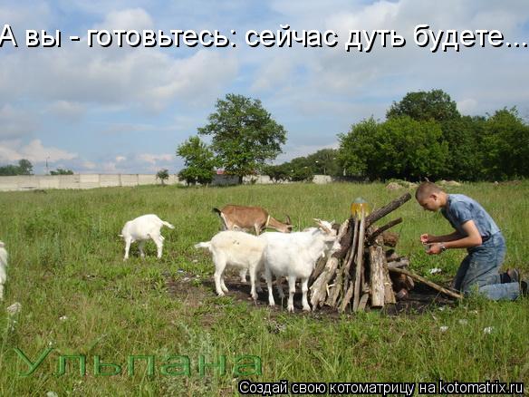 Котоматрица: А вы - готовьтесь: сейчас дуть будете...