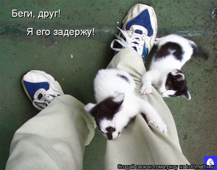 Беги, друг! Я его задержу!... Котоматрица: Беги, друг! Я его задержу!