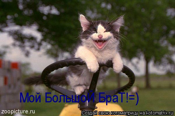 Котоматрица: Мой БольшоЙ БраТ!=)