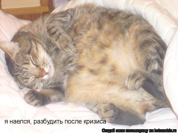я наелся, разбудить после кризиса... Котоматрица: я наелся, разбудить после кризиса