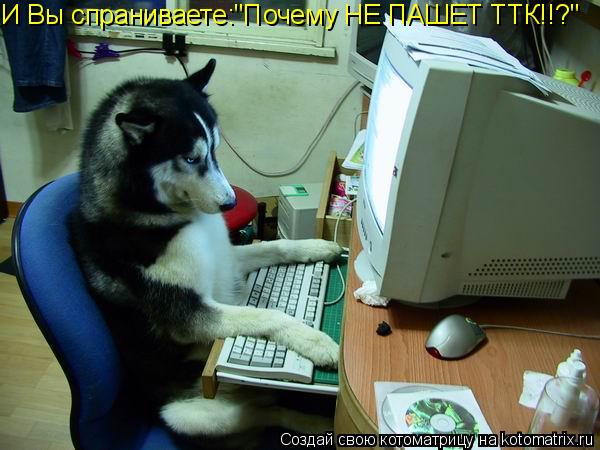 Котоматрица: И Вы спраниваете:"Почему НЕ ПАШЕТ ТТК!!?"