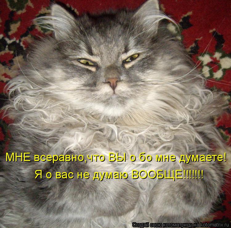 МНЕ всеравно,что ВЫ о бо мне думаете! Я о вас не думаю ВООБЩЕ!!!!!!!... Котоматрица: МНЕ всеравно,что ВЫ о бо мне думаете! Я о вас не думаю ВООБЩЕ!!!!!!!