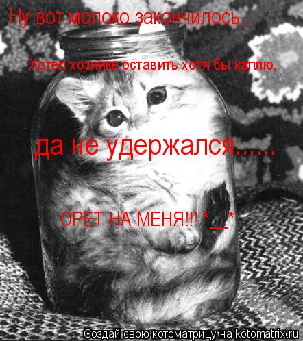 Ну вот молоко закончилось... Хотел хозяйке оставить хотя бы каплю, да не удержался...... ОРЕТ НА МЕНЯ... Котоматрица: Ну вот молоко закончилось... Хотел хозяйке оставить хотя бы каплю, да не удержался...... ОРЕТ НА МЕНЯ!!! *__*