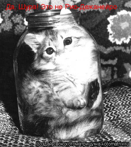 Котоматрица: Да, Шура! Это не Рио-Дежанейро