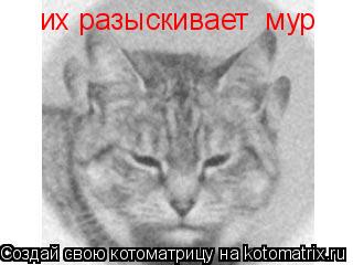 их разыскивает мур... Котоматрица: их разыскивает мур